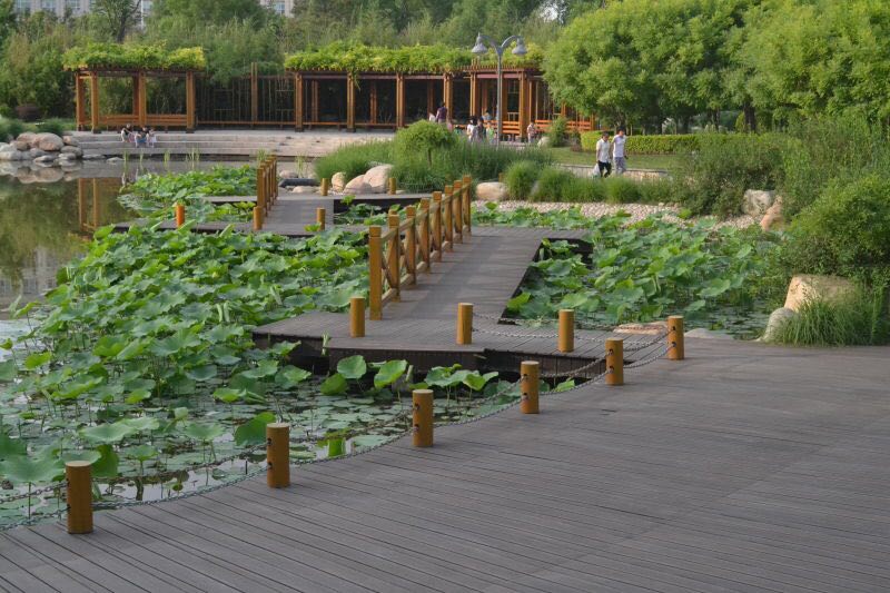  ��(sh��)������