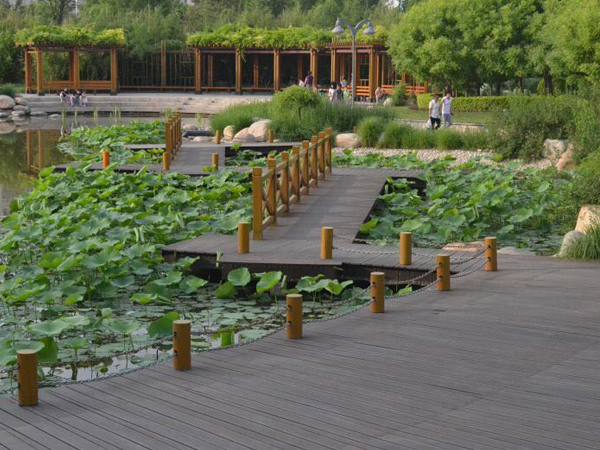 ��(sh��)������չʾ